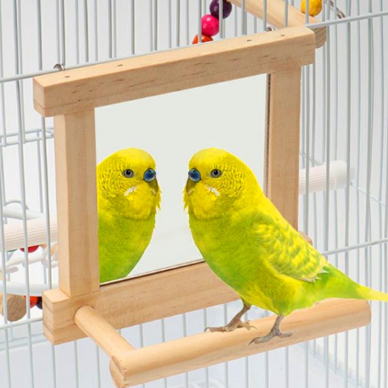 Bird Mirror Perch Paw Grinding Pole For Birds Natural Wood Parrot Cage Pole For Parakeets Cockatiels Lovebirds Standing Branch