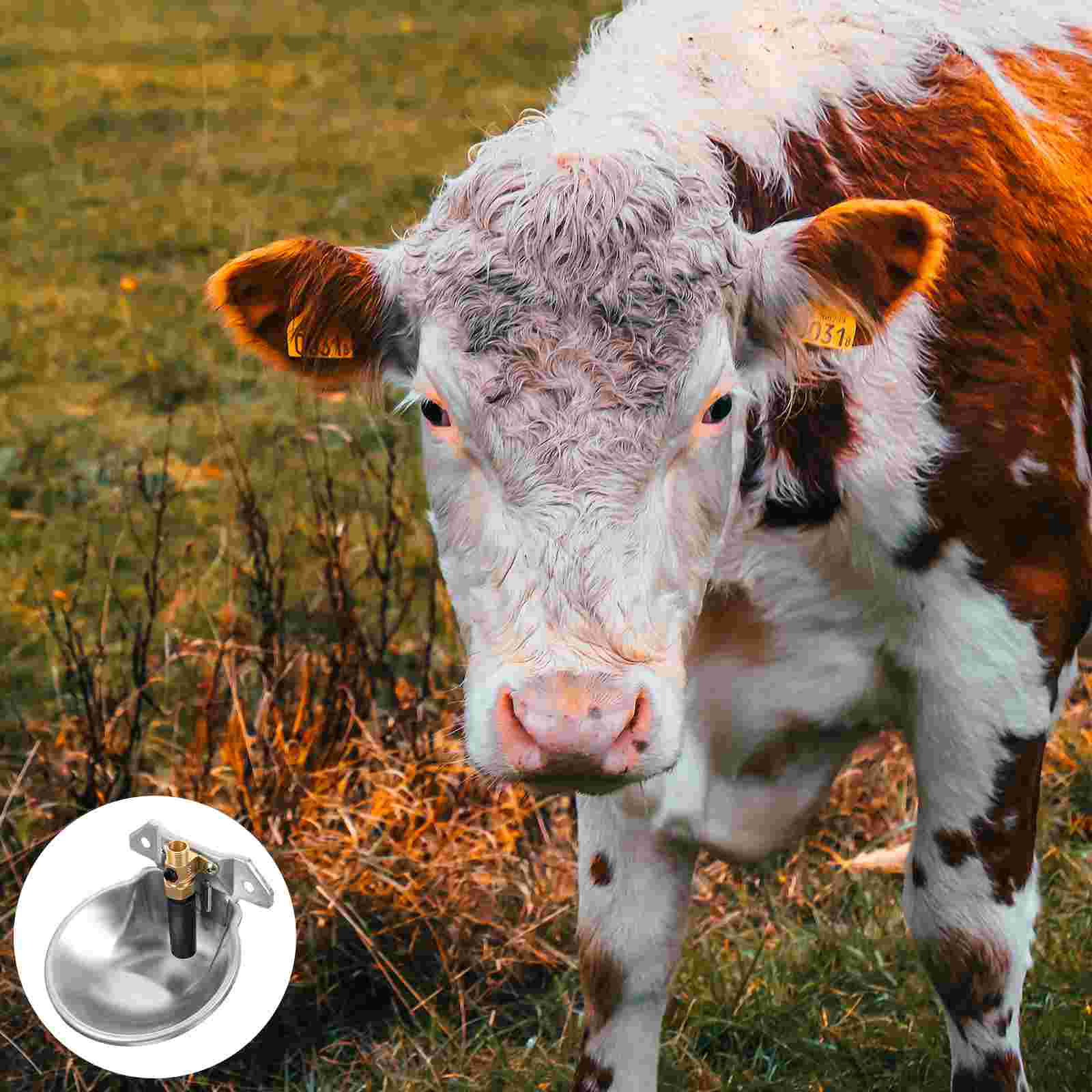 Sheep Automatic Cow Drinking Water Bowl Horse Waterer for Horses Cows Professional Feeder Livestock Fountain Cattle Container