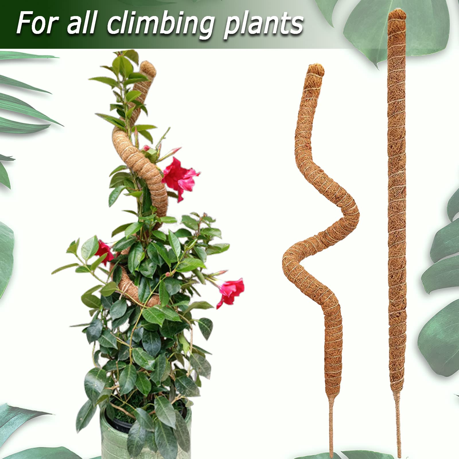 Cross-border Gardening Cocoanut Stick Green Pot Fixed Plant Climbing Cane Flower Support Cocoanut Climbing Cane Moss Rod 1pc
