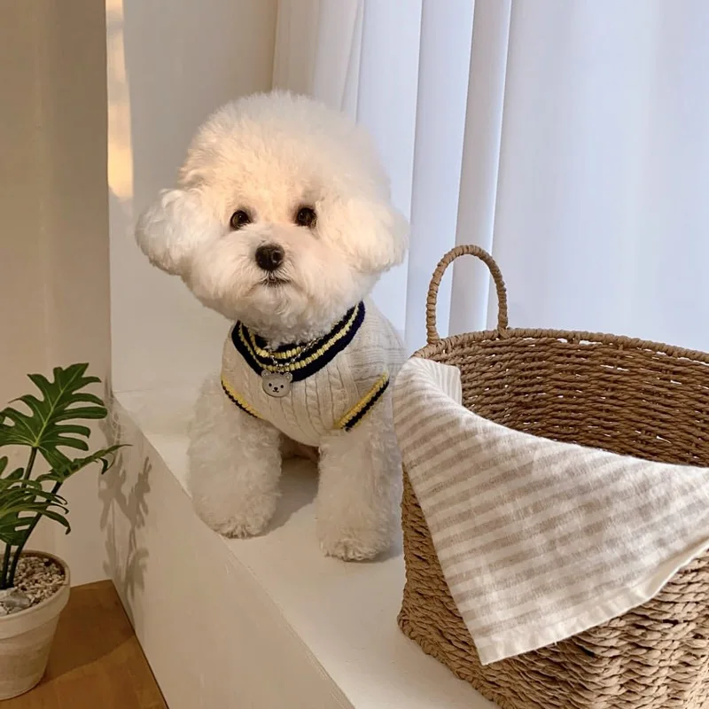 Fashion Pet Sweater Dog Academy Knitted Vest Teddy Bear Little Cat Yorkshire Pomeranian Small Puppy Warm Winter Puppy Clothing