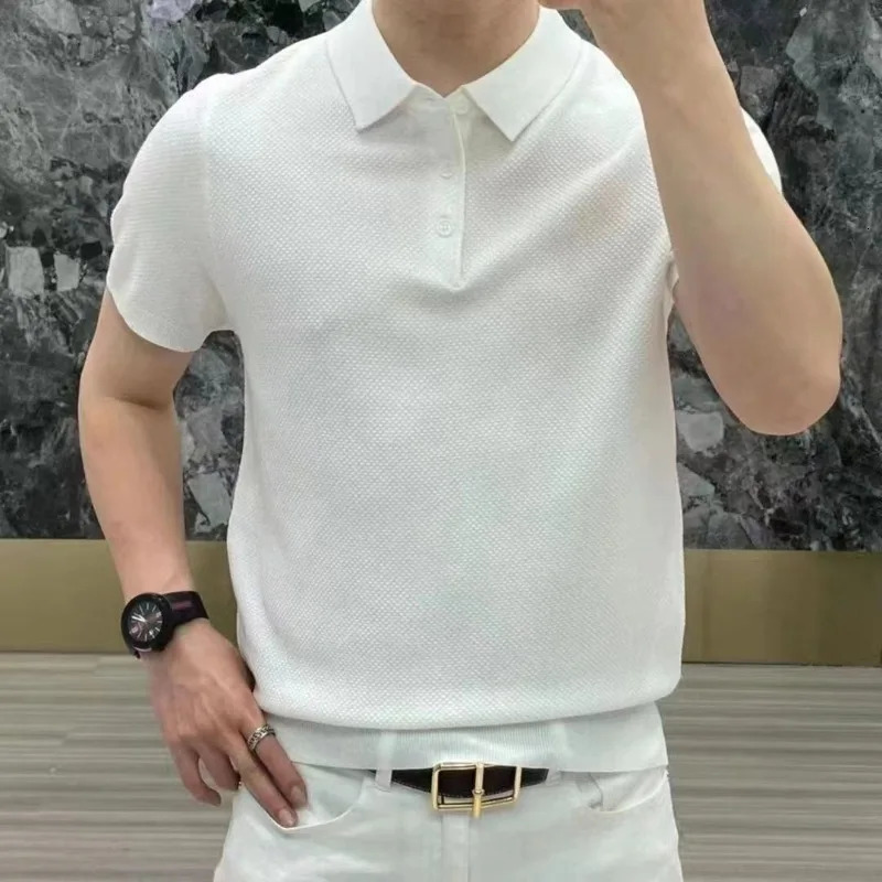 Spring Summer Fashion Elegant Flip Neck Tees Knitted Casual Versatile Western Clothing Loose Solid Mens Polo Shirts 250224
