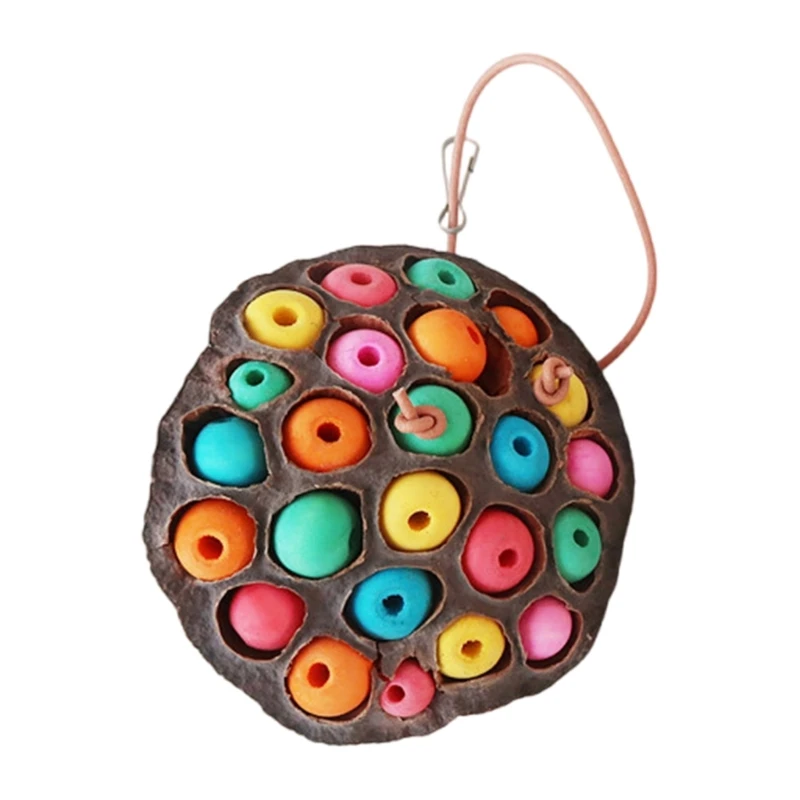 Bird Toy Parrot Chewing Toy Birdcage Tearing Toy All Size Birdcage Nature Lotos Seedpod Bird Toy for Conures Cockatiels