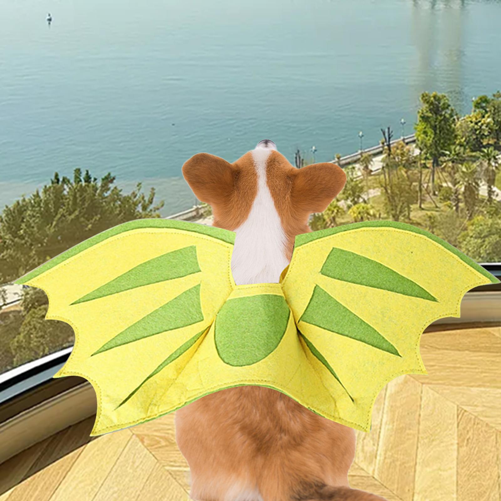 Dragon Wing for Dogs Pet Dragon Wing Halloween Party Decoration,Funny,Dress up Accessories,Cat Halloween Costumes Cat Wings