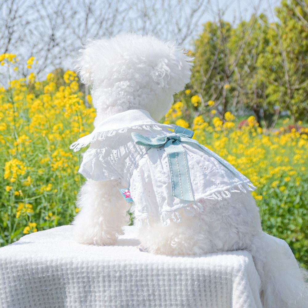 Bichon Frise White Spring Cat Dog Dress Hollow Out Skin-friendly Puppy Skirt Soft Pet Skirt For Cat Dog