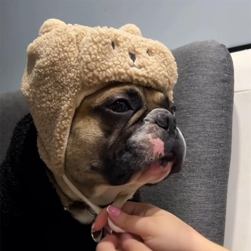 Pet Dog Hat For French Bulldog English Bulldog Plush Hat Winter Warm Cute Bear Hat Cartoon Caps For Puppy Pet Dog Accessories