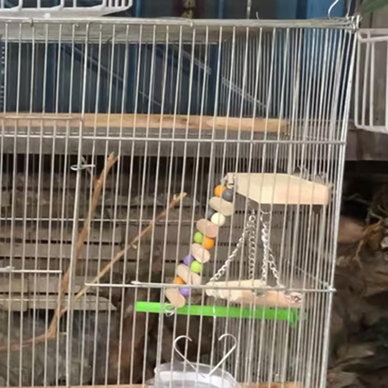 Parrot Swing Perch Bird Perches Swing With Climbing Ladder Parrot Chew Toys For Parakeets Cockatiel Lovebirds Conures Budgie