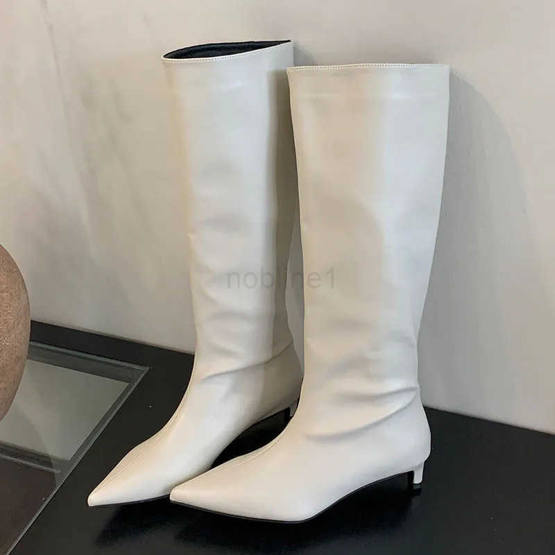 Fion Pointed Toe Wen Knee High Boots Fem Designer Slip On Shoes Ladies Long Modern Booties With Low Heel Shoes Z250304