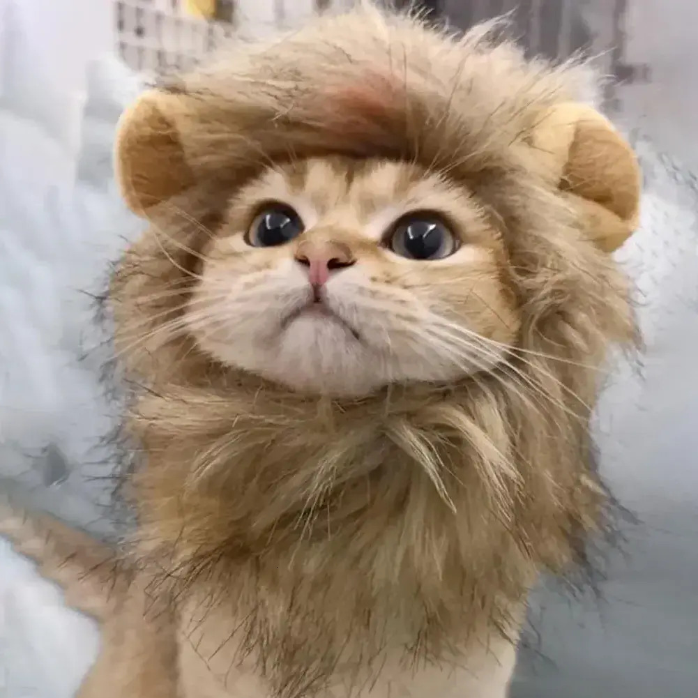 Update Decorative Hat Soft Lightweight Lion-Style Hats Breathable Hood Adorable Pet Photograpps Cat Costume Cosplay