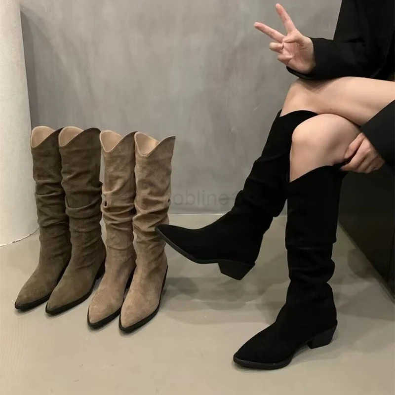 Wen Wern Boots Korean Style Autumn Pointed Toe Long Boots Thick Heel Outdoor Hiking Shoes Botas De Mujer Largas Z250304