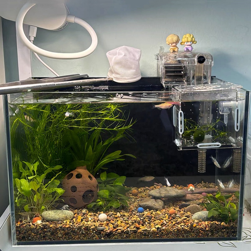100/200/500g Fish Tank Bottom Sand Stone Aquarium Landscape Native Stream Natural Sand Stone Garden DIY Accessories Decorations