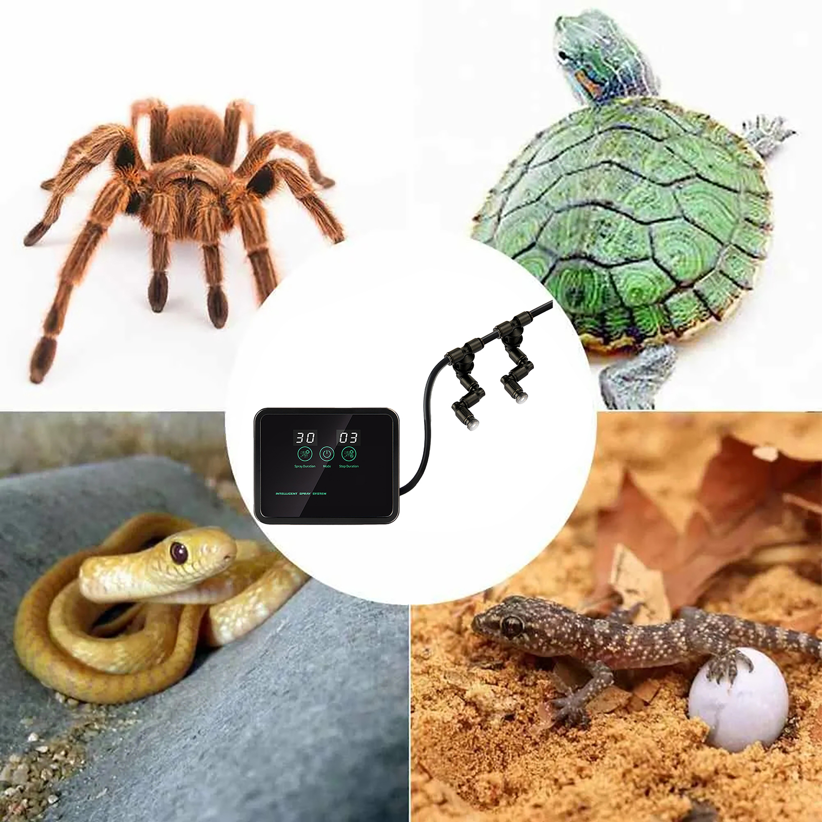Intelligent Reptile Fogger Terrariums Humidifier Electronic Timer Automatic Mist Rainforest Spray System Kit Sprinkler Control