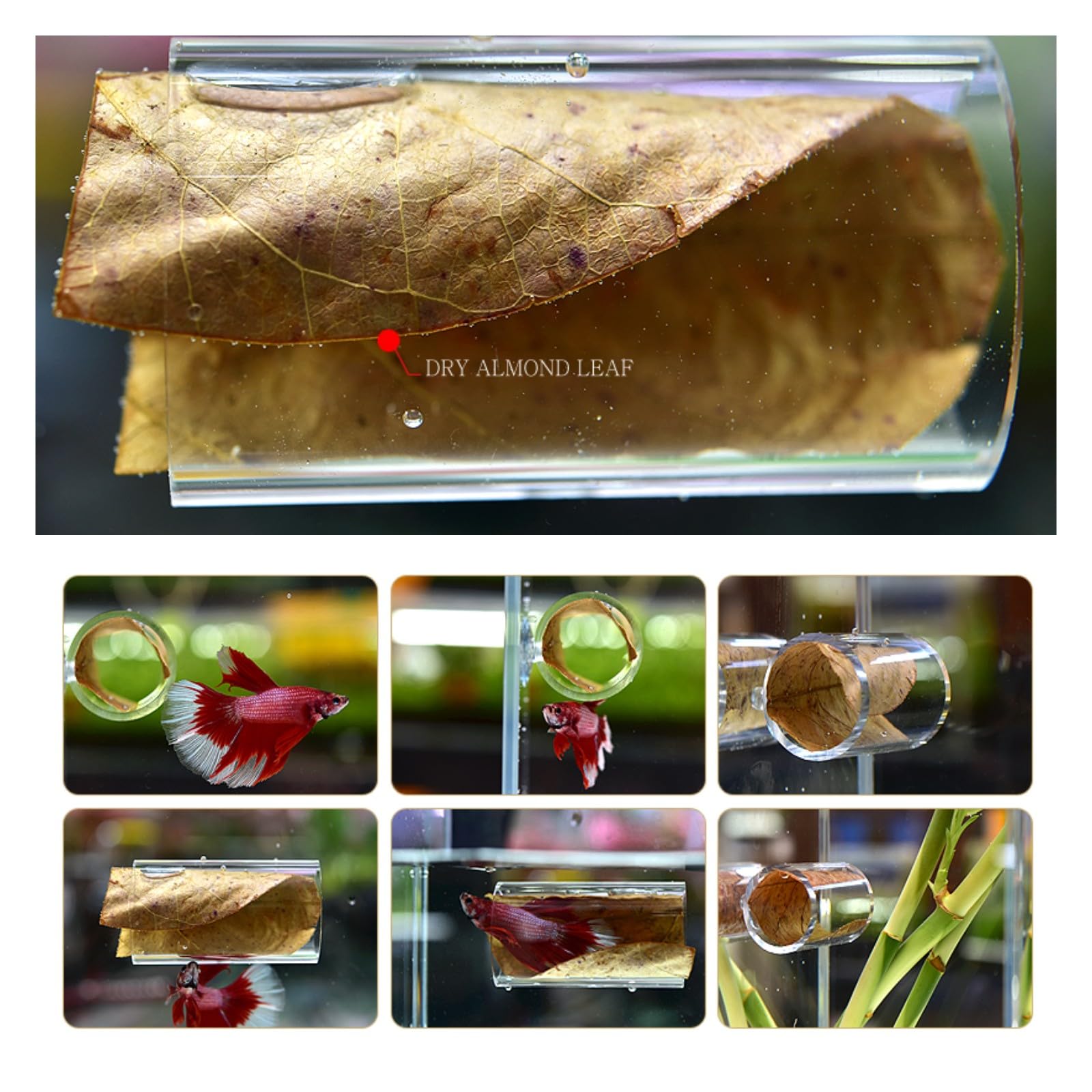 1/2Pcs Betta Fish Acrylic Tube Tunnel Hollow Design Fish Tank Decorations For Better Observation Fish Improves Betta's Health