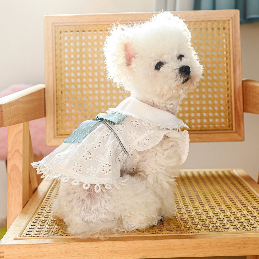 Bichon Frise White Spring Cat Dog Dress Hollow Out Skin-friendly Puppy Skirt Soft Pet Skirt For Cat Dog