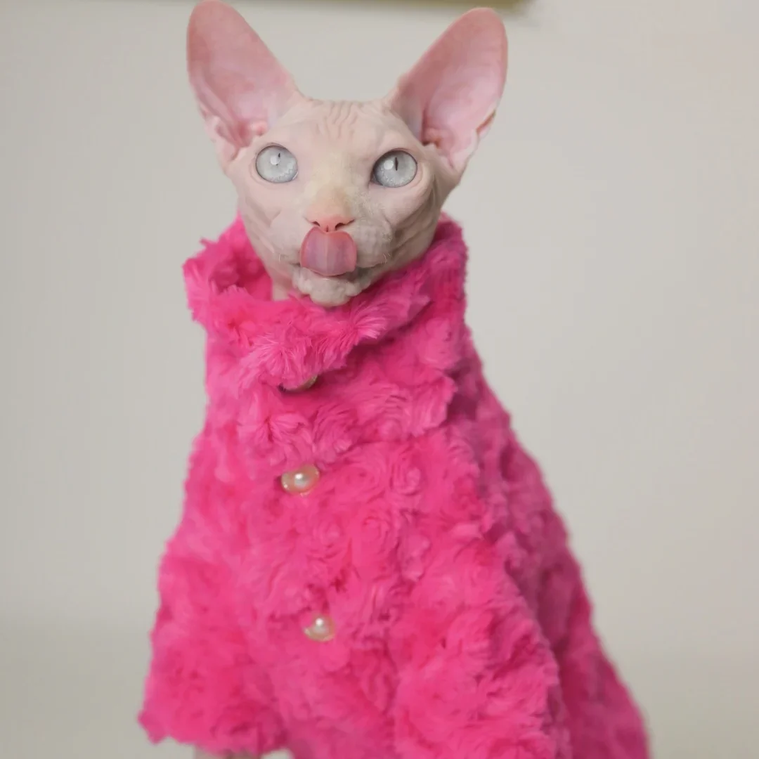 Hairless Cat Clothes Winter Two-layers Warm Thick Cat Apparel for Sphynx Cats, Devon Rex Cats,Small Cats and Dogs