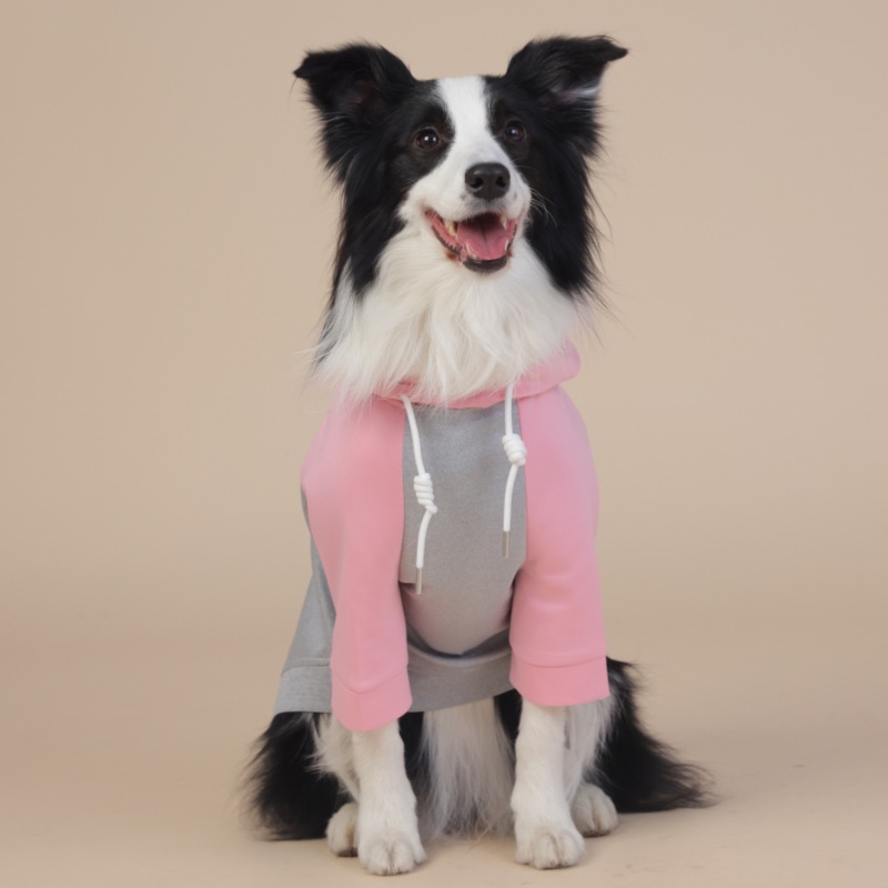 All - Weather Four - Legged Raincoat for Small and Medium Dogs, Unisex Look, Pastel Colors