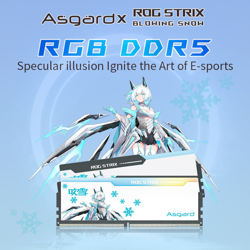 Asgard ddr5 ram 16GBx2 24GBx2 64GB 96GB 6400MHz 6800MHz Memoria Ram DDR4 Hynix chips for desktop
