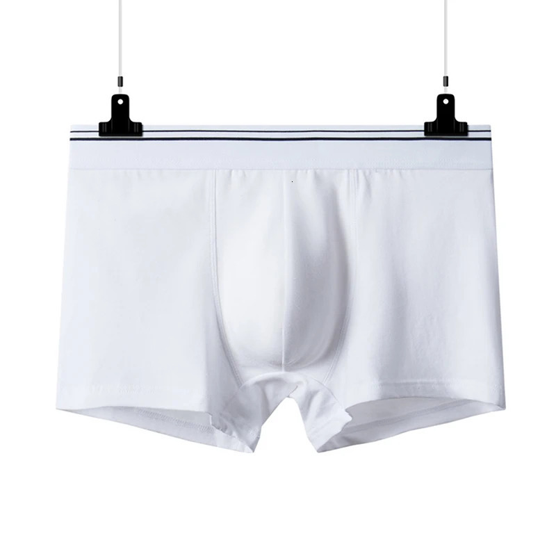2pcs Pure Cotton Man Boxers Underwear Comfortable Breathable Undershorts Bodysuit Men White Color Undershorts 3XL 4XL 5XL 6XL 250303