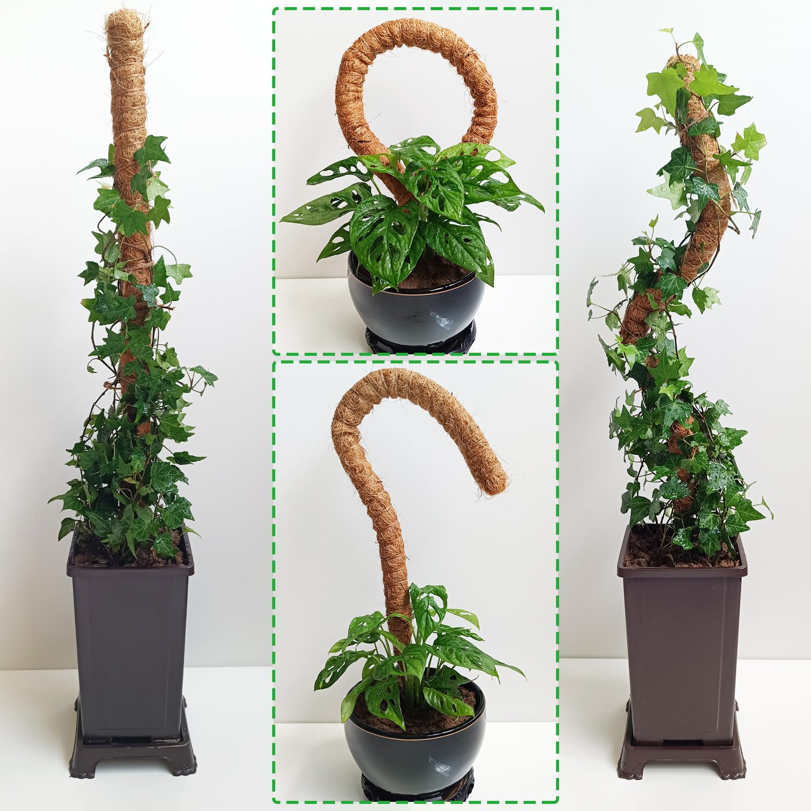 Cross-border Gardening Cocoanut Stick Green Pot Fixed Plant Climbing Cane Flower Support Cocoanut Climbing Cane Moss Rod 1pc