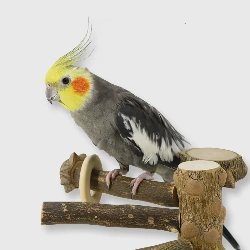Parrot Pepper Rotating Ladder Game Frame Parrot Toy Training Station Frame Amusement Park Platform Frame Climbing Bird Toy