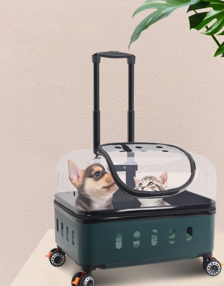 Pet Trolley Case Transparent Cat Bag Going Out Portable Dog Space Capsule Large Two Cats Luggage Trolley