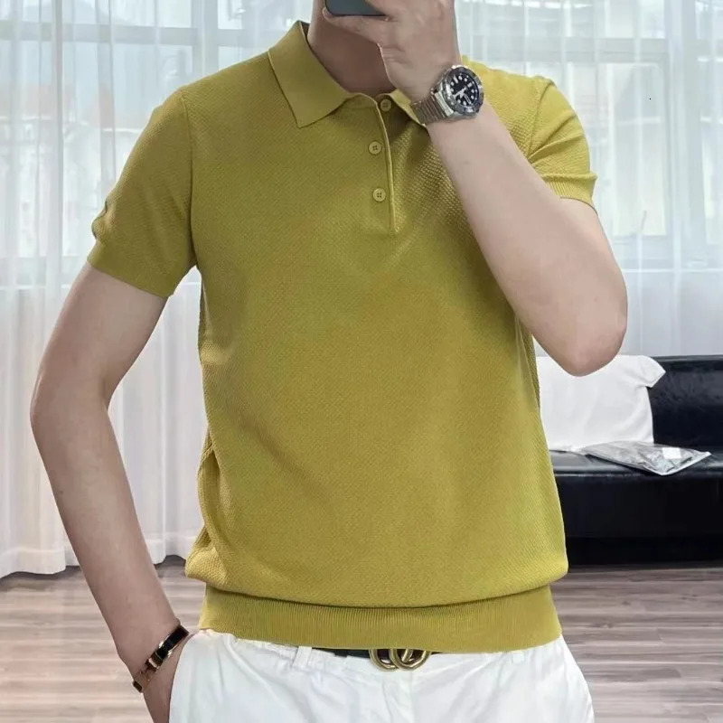 Spring Summer Fashion Elegant Flip Neck Tees Knitted Casual Versatile Western Clothing Loose Solid Mens Polo Shirts 250224