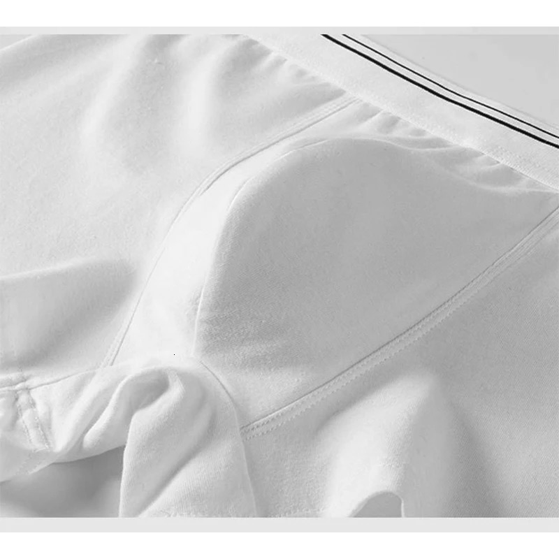 2pcs Pure Cotton Man Boxers Underwear Comfortable Breathable Undershorts Bodysuit Men White Color Undershorts 3XL 4XL 5XL 6XL 250303