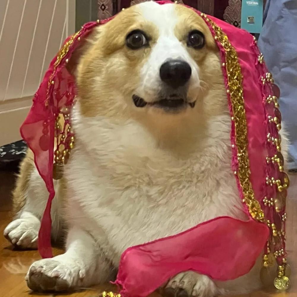 Dog Booty Shake Dance Booty Towel Decoration Pet Clothes Hip Wrap Pet Dance Scarf Belt Dancing Skirts Clothes Belly