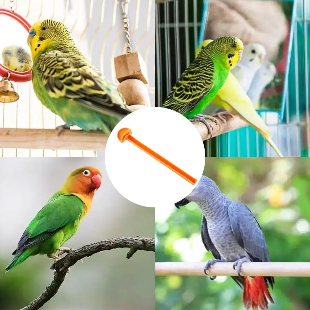 1pc Plastic Birdcage Stand Pole Pet Bird Platform Standing Stick Toy Birds Cage Perch Rod Bird Pole 16cm حبل للطيور