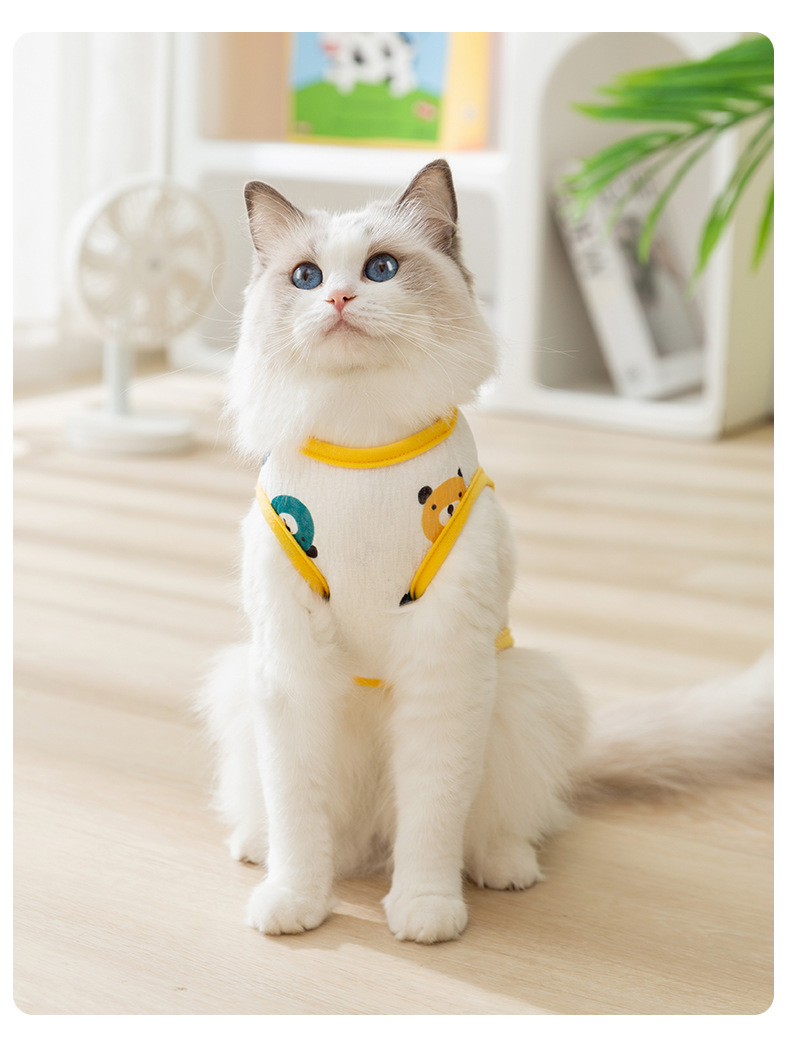 Adorable All - over - printed Net - like Harness Jackets for Kittens in Spring and Summer. Thin - cut, Anti - shedding Garments Ideal for Si