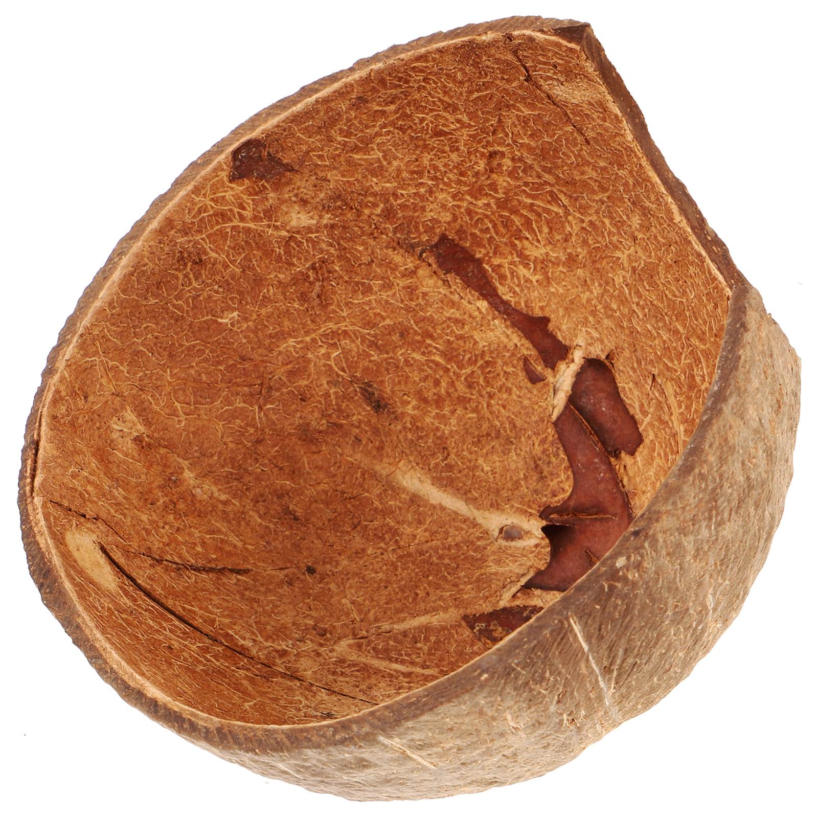 Coconut Hideout House Leopard Gecko Humid Container Coconuts Shell Hermit Crab Tank Adorable Reptile Cave