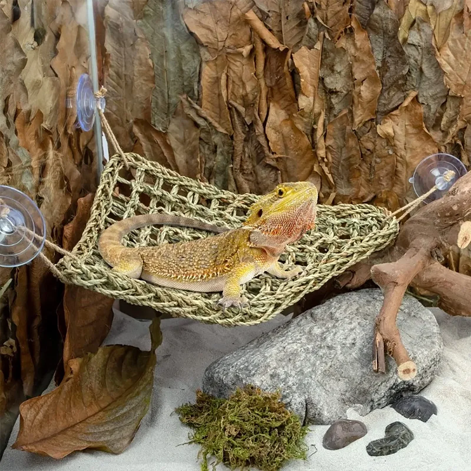 Reptile Hammock Terrarium Decoration For Lizard Lounger Small Hermit Crabs Geckos Bed Birds Reptile Mats Pets Supplies