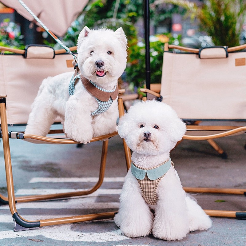 Dog Harness Step-in Breathable Puppy Cat Dog Vest Harness Adjustable Dog Leash with Plaid Pattern
