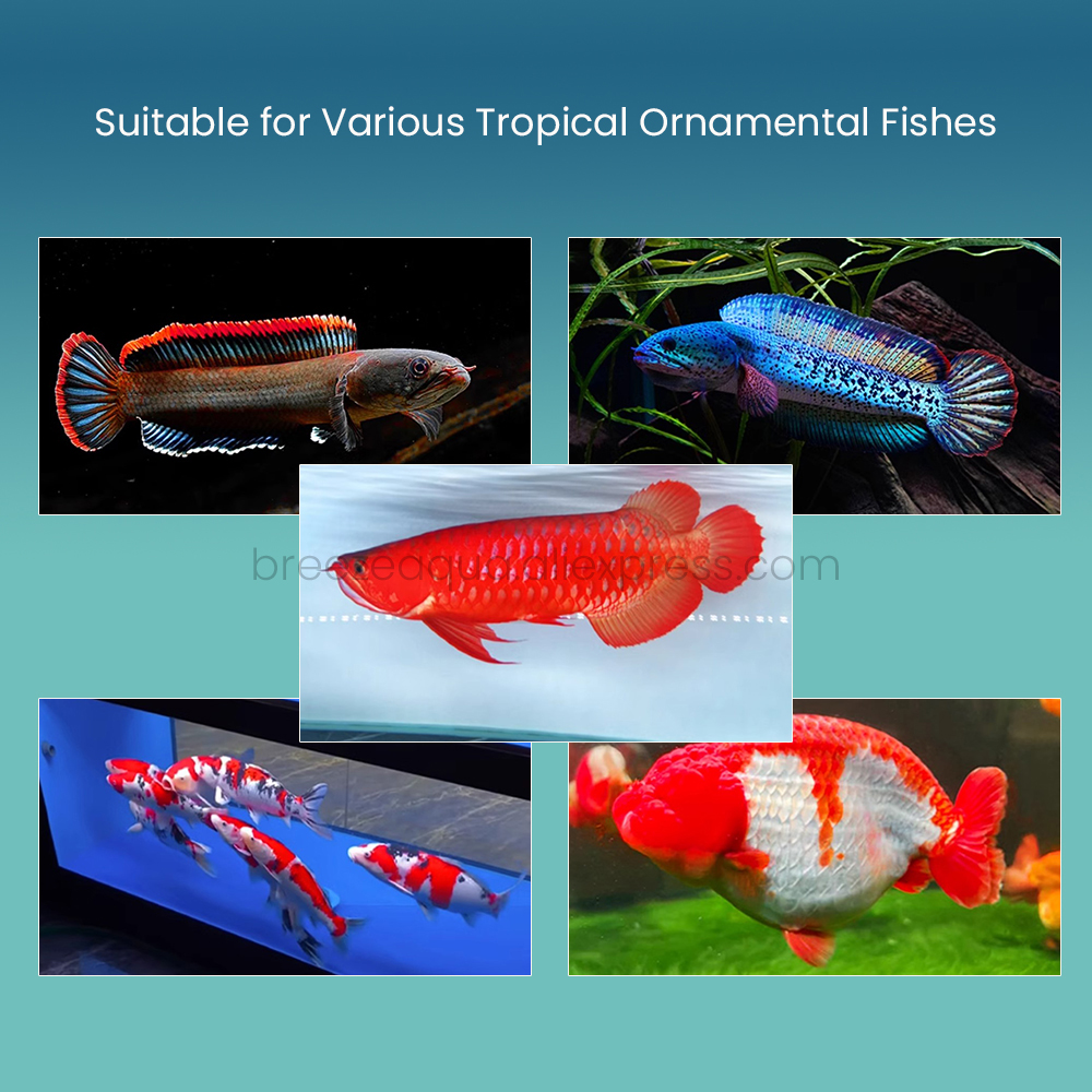 MAYIN Super Colour Plus IP68 Waterproof Amphibious Ornamental Red Arowana Dragon Fish Brightening Lamp LED AquariumLight