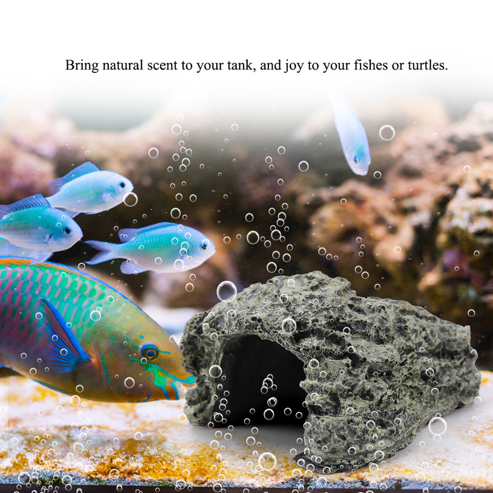 Fish Hiding Cave Aquarium Turtle Reptile Basking Hide Habitat Decoration Ornament