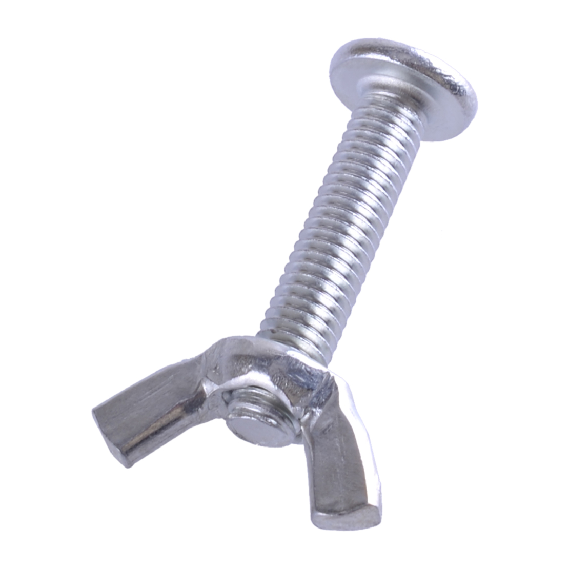 10 Sets M6 Retaining Fitting Screw Kit DIY For Bird House Cage Nest Parrot Breeding Box
