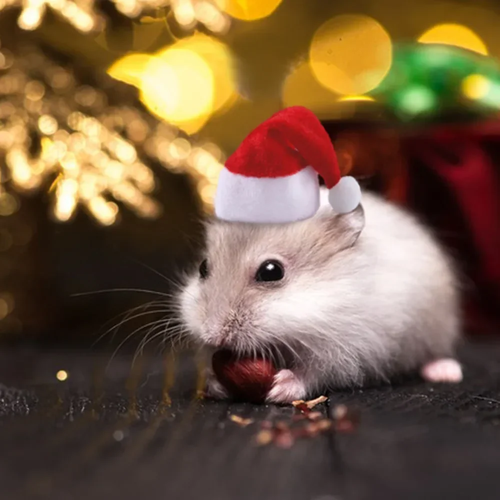 Christmas Cap with Band for Small Animals Santa Claus Hat Rabbit Hamster Guinea Pig Rats Pet Products królik akcesoria ハムスター