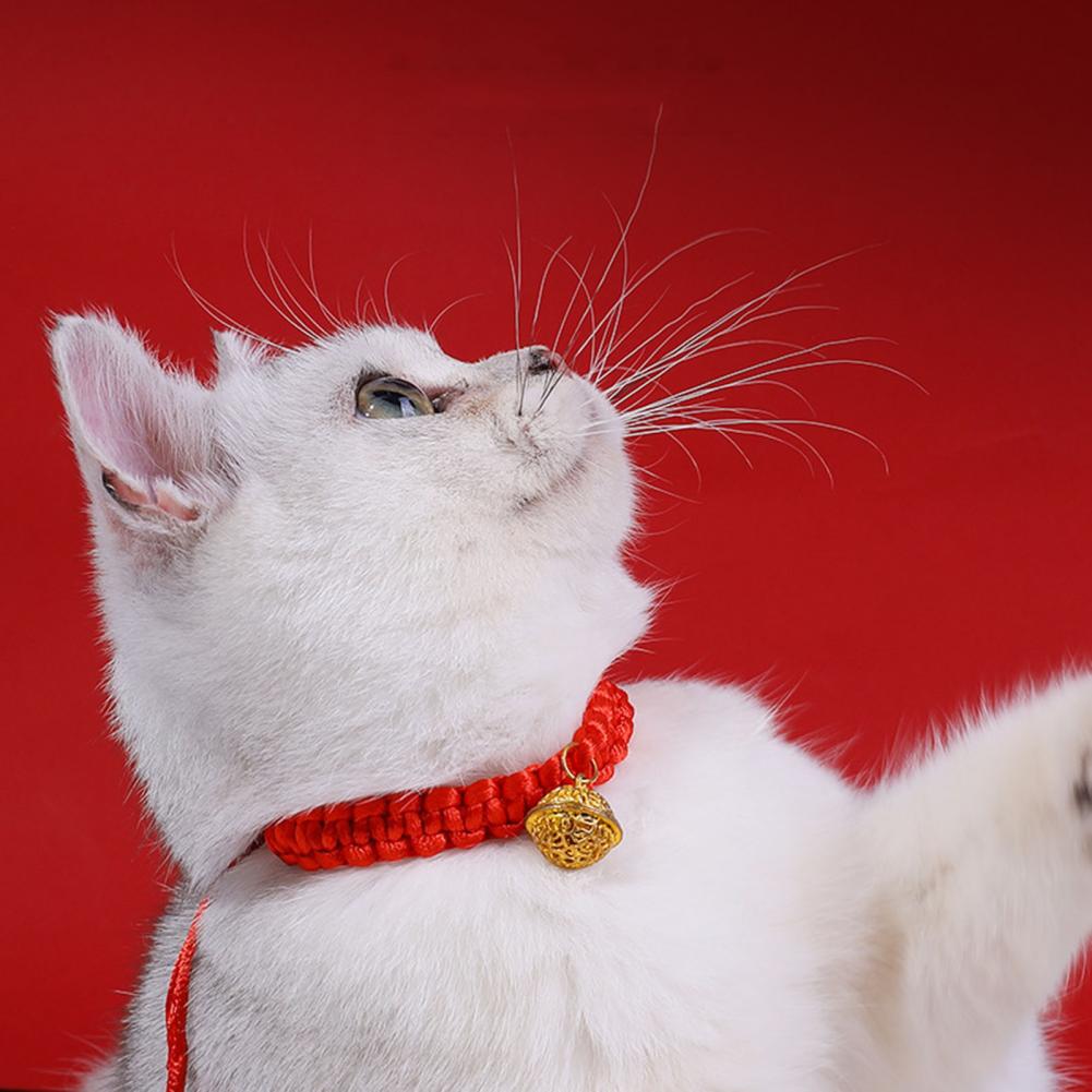 Good Luck Pet Collar Pet Collar with Chinese Elements Hand-woven Chinese-inspired Rope Pet Collar Stylish Lucky for Long