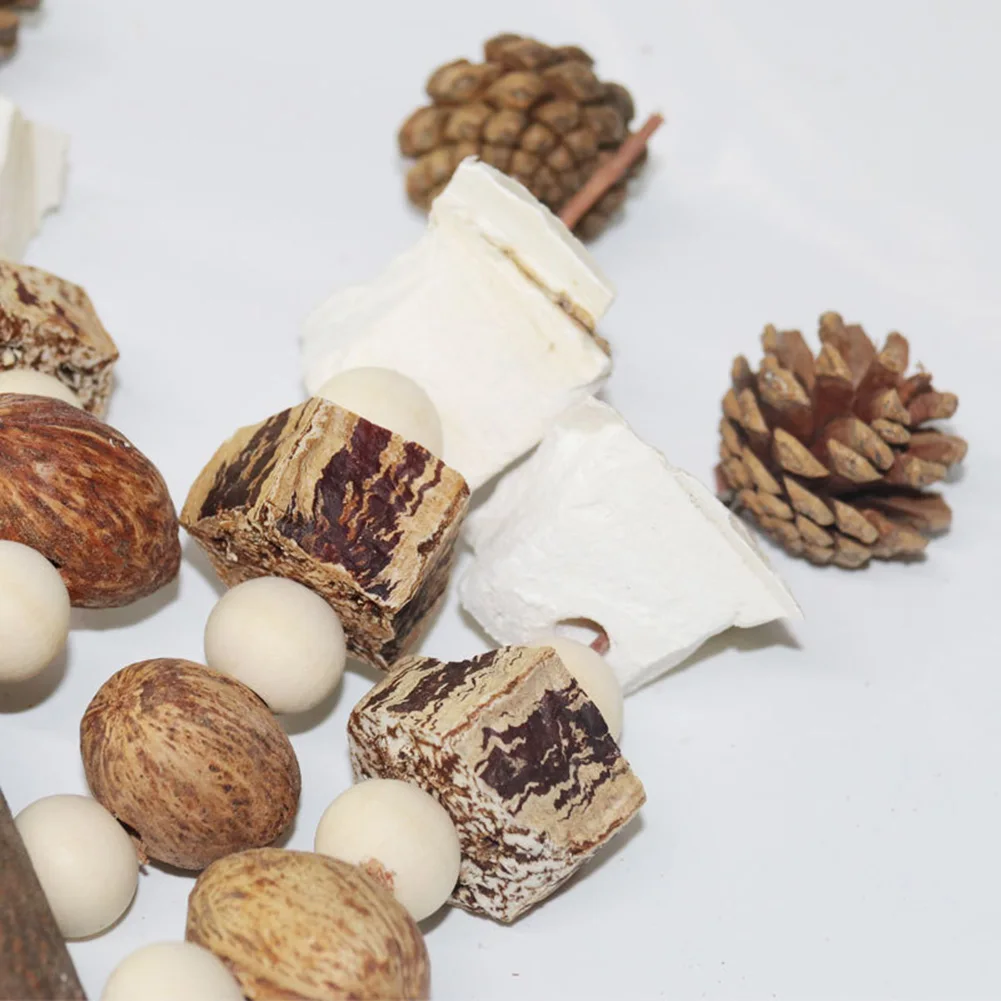 Bird Toys with Pinecones Cuttlefish Bones Beech Wood Nuts Teething Chew Toy For Parrot Parakeets Cockatiels Love Birds Supplies