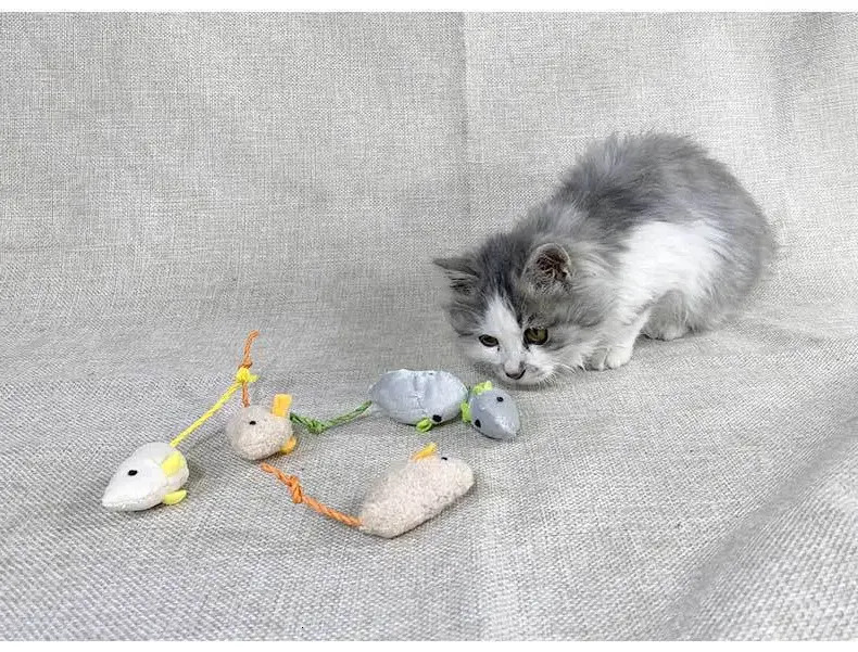 Update Cat Toy Plush Simulation, Cat Mint Toy, Scratch Bite Resistant, Self Soothing, Cardboard Jam Relieving, Little Mouse