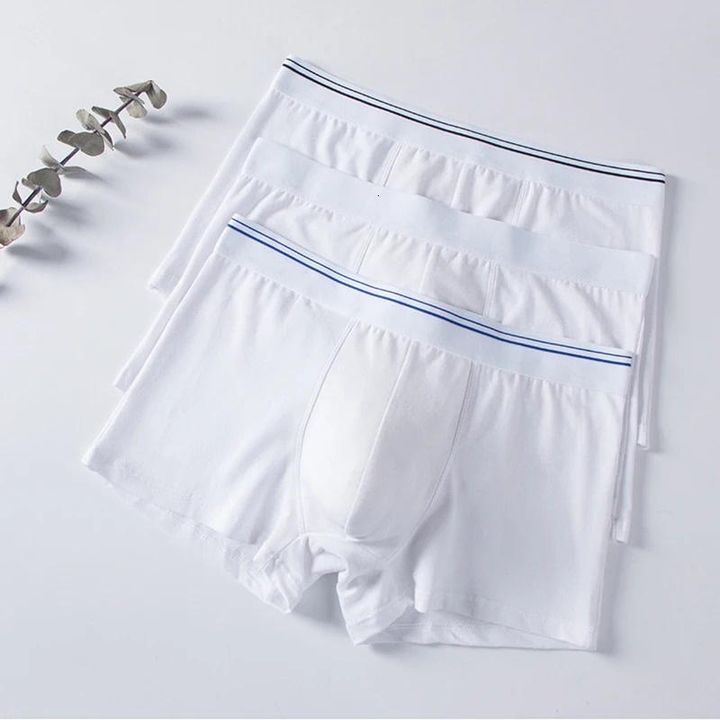 2pcs Pure Cotton Man Boxers Underwear Comfortable Breathable Undershorts Bodysuit Men White Color Undershorts 3XL 4XL 5XL 6XL 250303