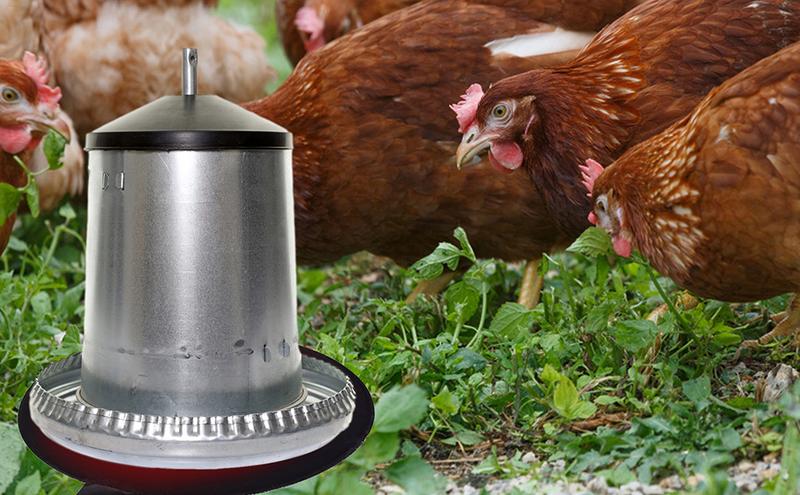 Bird Bath Heater Thermostatically Controlled Outdoors Pond Deicer Winter Water Heater For Birds Chickens Ducks Farm Sink