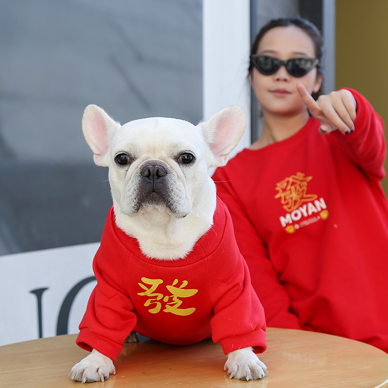 Halloween Cape - Style Pet Attire for Small, Medium, and Large Dogs like Pugs and Cats! Perfect Fall - Season Wear