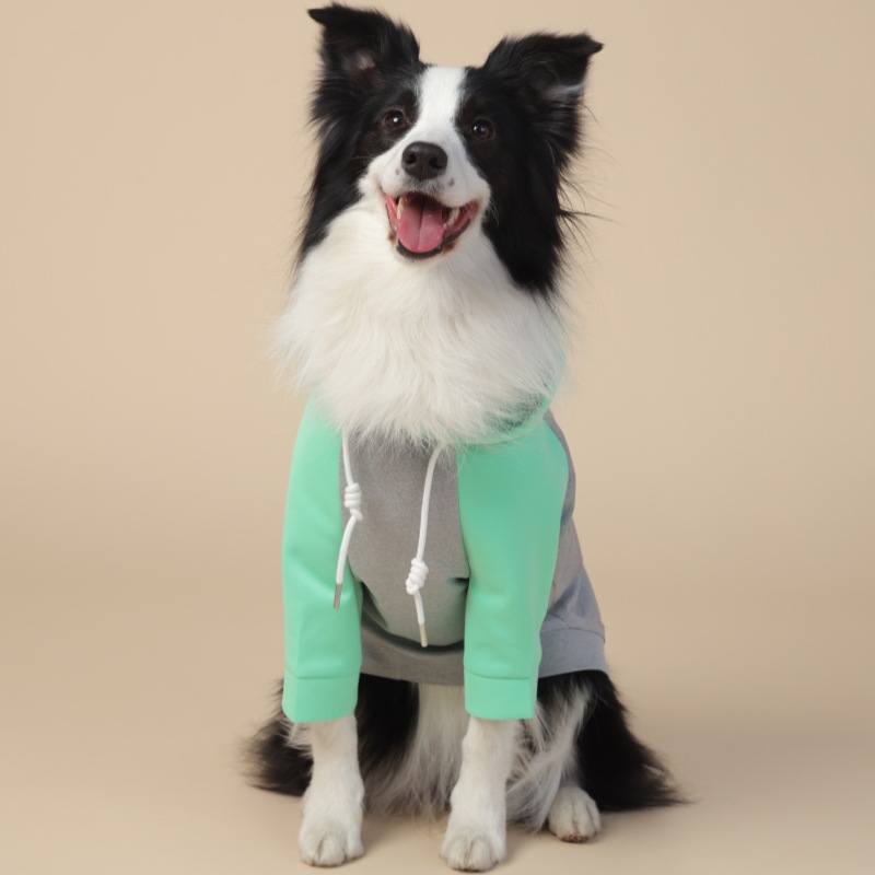 All - Weather Four - Legged Windproof Coat Fit for Small and Medium Dogs with an Inclusive Design