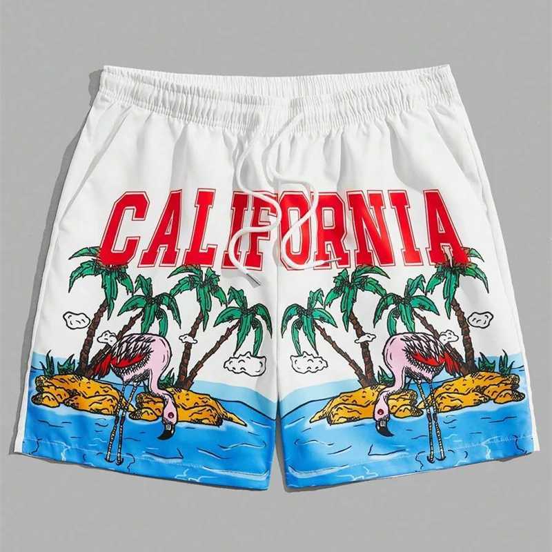 Holiday Style 3d Printed Shorts For Mens Outdoor Sports Surfing Board Shorts Fashion Leisure Trend Quick Drying Short PantsT250304