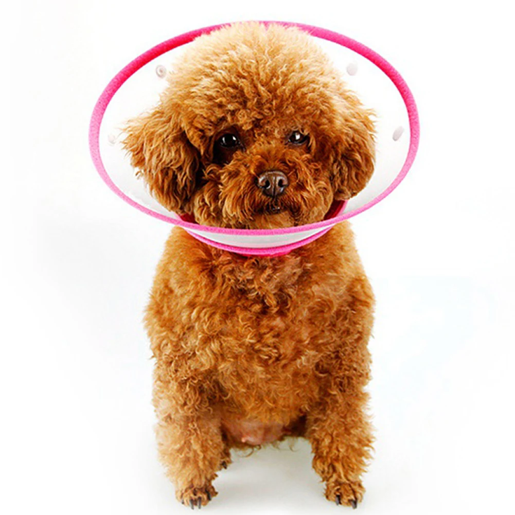 Pet Protective Collar For Small Large Dogs Anti Bite Grasping Licking Collar Puppy Cat Recovery Cone Ring Pets Care Accessories