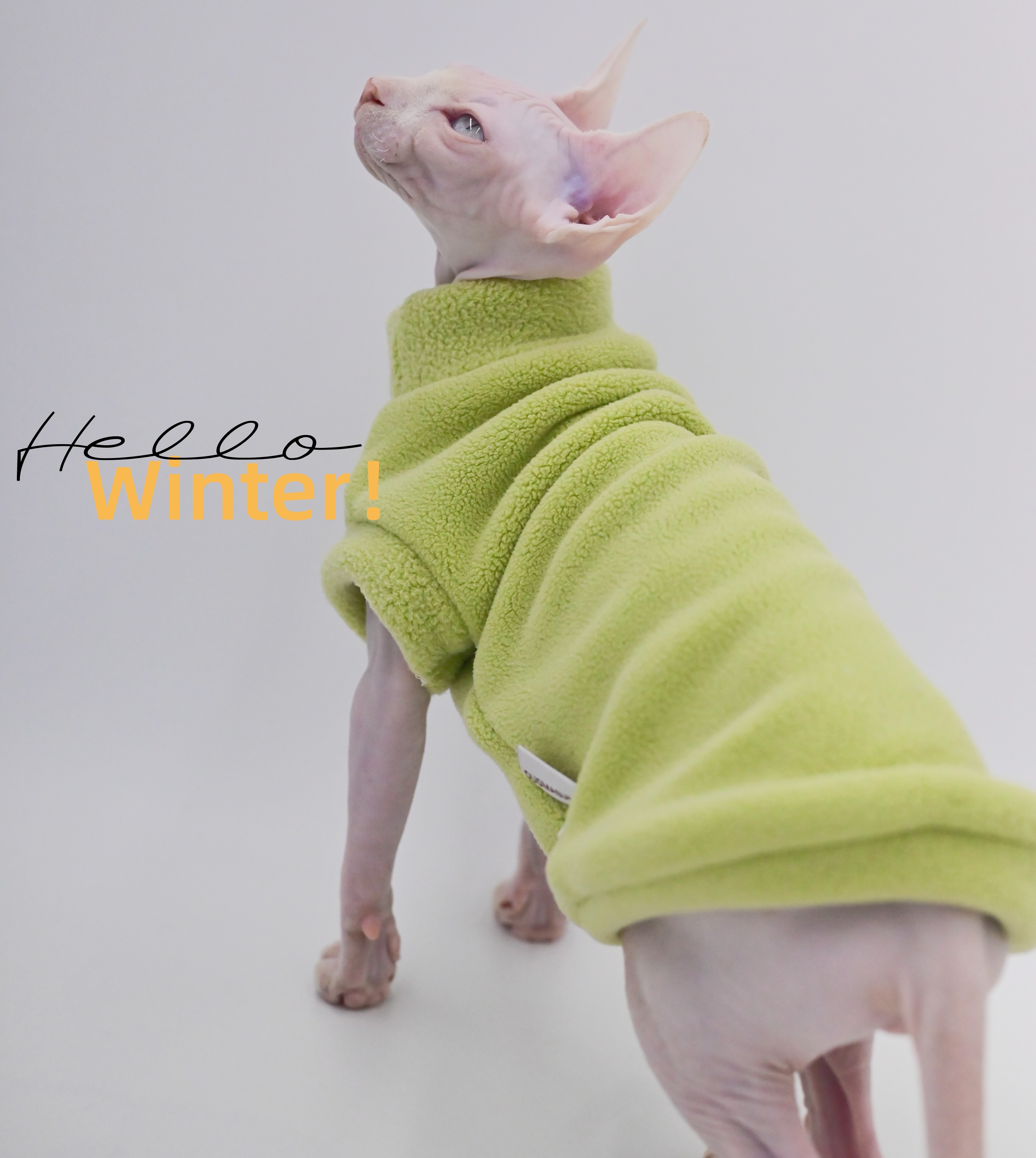 DUOMASUMI Dirt-resistant Sphynx Clothes Soft Cat Costume Thick Fall Winter Apparel Clothes for Cat Devon Hairless Cat Clothing