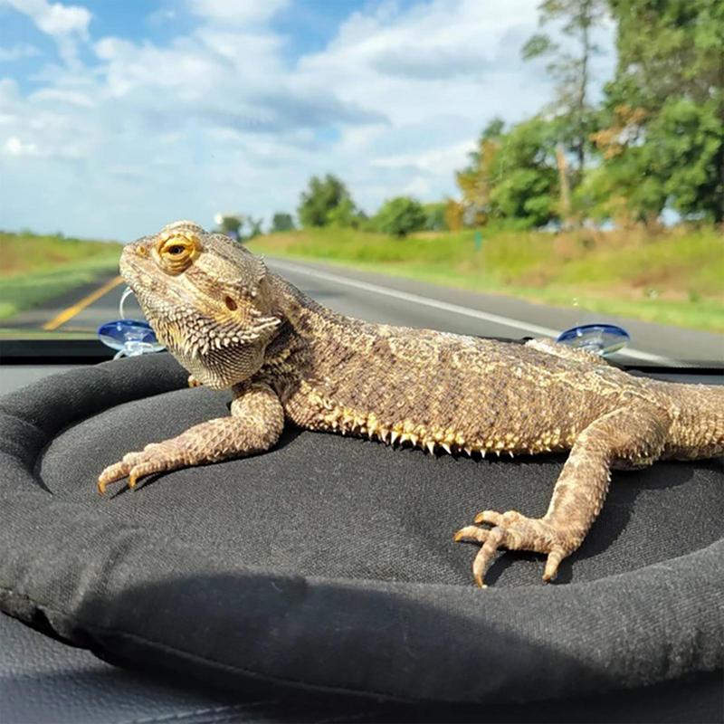Reptile Hammock Portable Soft Black Bearded Dragon Hammock Bearded Dragon Supplies Lightweight Reptile Bed With Strong Suction