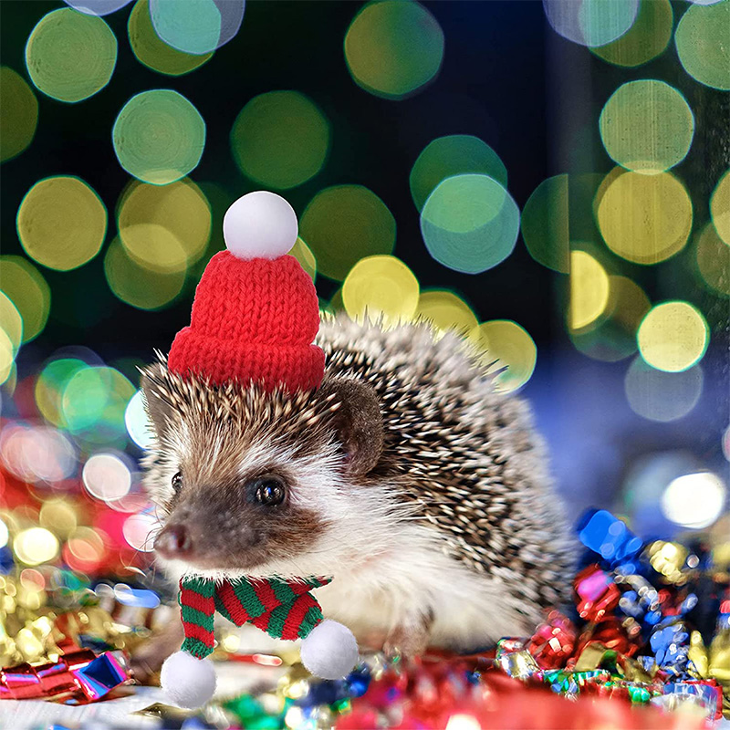 Hamster Guinea Pig Christmas Costume Mini Small Pet Items Hat Scarf Xmas Headwear Pet Outfits for Chinchilla Rabbit Accessories
