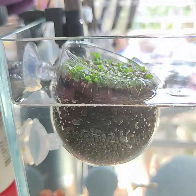 Aquatic Plant Pots Aquatic Planter With Suction Cups Red Shrimp Live Plants Fish Tank Holder Aquatic Tank Live Plant Pot