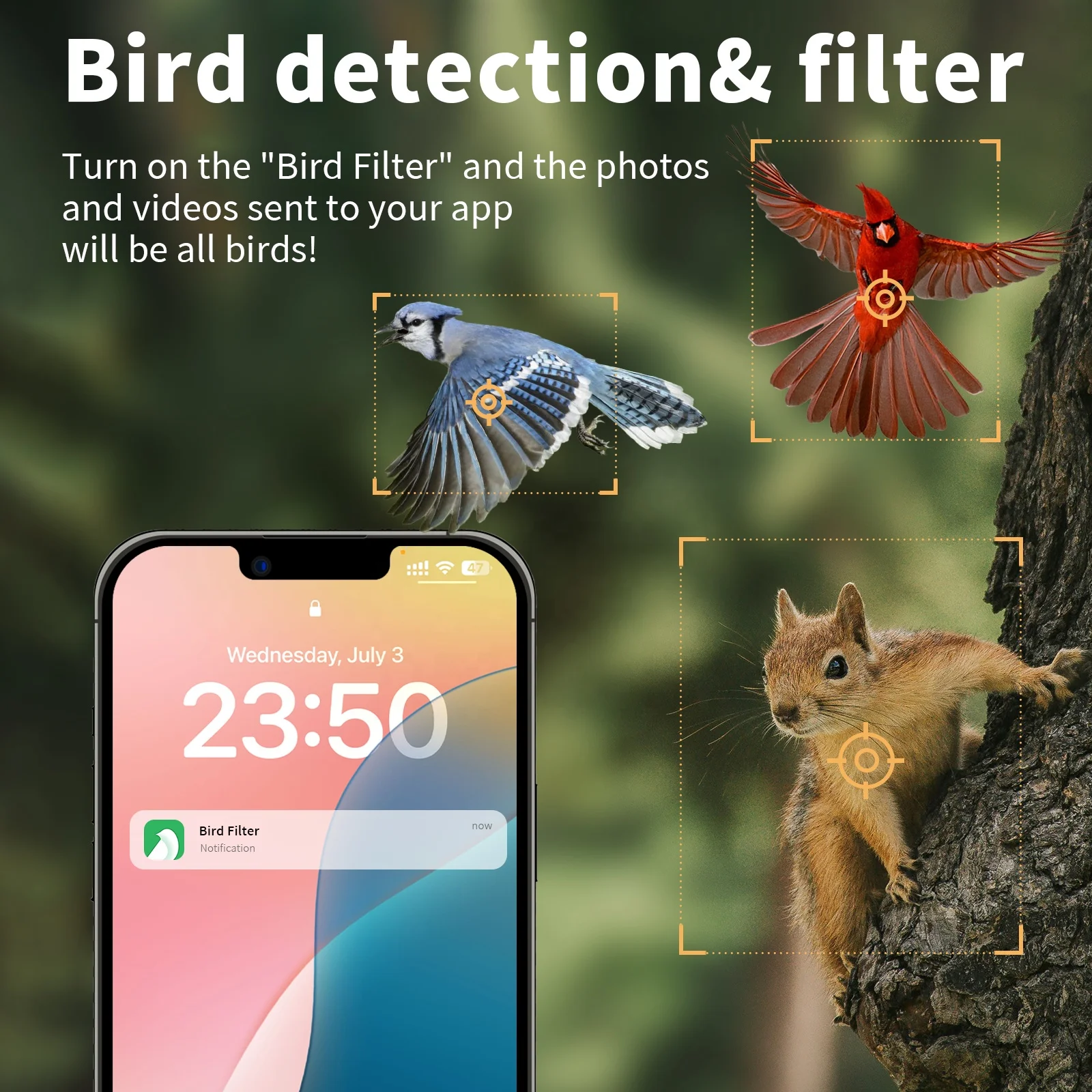 4K High Resolution AI Identification Filter Smart Bird Feeder Camera For Bird Lovers